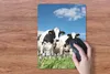 MuchoWow® Mauspad Mousepad Kühe - Landleben - Weide - Natur Produktbild-Vorschau 3