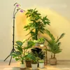 A collection of indoor plants illuminated by a grow light on a stand. Anteprima dell’immagine prodotto