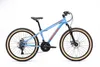 BIKESTAR Kinder Jugend Mountainbike 24 Zoll ab 8 Jahre | 21 Produktbild-Vorschau 7