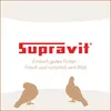 Supravit Vogelgrit 4kg | Grit für Vögel & Geflügel | Produktbild-Vorschau 9