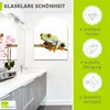 ARTland Glasbild Frosch auf einem Blatt Größe: 20x20 cm Produktbild-Vorschau 2