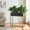 A black planter with green plants sits on a wooden floor next to a beige sofa and a framed picture on a white wall. Podgląd zdjęcia produktu