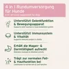 AniForte 4in1 Complete Dog Pulver 250g - Natürliche Produktbild-Vorschau 3