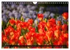 Tulpen (Wandkalender 2027 DIN A4 quer), CALVENDO Produktbild-Vorschau 13