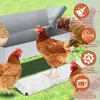 TolleTour Futterautomat Hühner 5KG  Automatische mit Produktbild-Vorschau 3