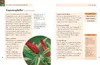 Handbuch Kräuter Produktbild-Vorschau 3