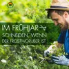 A man in a straw hat is pruning a plant with scissors, with text overlay about spring pruning. Produktbild-Vorschau
