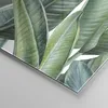 Bilder auf glas - Einteilig - Exotisch Blätter Grün - Produktbild-Vorschau 5