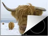 KitchenYeah© Herdabdeckplatte Schottische Highlander - Produktbild-Vorschau 1