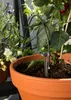 Gardena giardinaggio urbano - Kit di irrigazione per le Anteprima dell’immagine prodotto 36