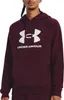 Mikina UA Rival Fleece Logo HD-MRN Náhled obrázku produktu 5