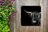 MuchoWow® Produktbild-Vorschau 5