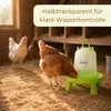 Hühnertränke mit Standfüßen 5 L Geflügeltränke Tränke Produktbild-Vorschau 7