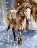 Wandkalender Winterpferde Produktbild-Vorschau 4