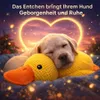 Anti Stress Ente™ Jouet pour chien Canard qui couine Voir les images du produit 5