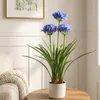 Künstliche Agapanthus-Blume im Topf, 50 x 80 cm Produktbild-Vorschau 2
