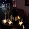 A bottle of champagne and two glasses are set up with decorative star lights and Christmas lights in the background. Produktbild-Vorschau
