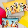 MAGMA Heimtex - Kissen - CRAZY - Esel - 30 x 50 cm Produktbild-Vorschau 3