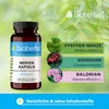 Bioherba Nerven Kaspeln mit Minze, Weißdorn und Baldrian Produktbild-Vorschau 4
