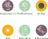 GreenboutiQ - Obstpflanze - Bananenpflanze - Musa Produktbild-Vorschau 7