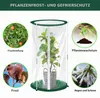 Zimní kryty pro rostliny, sada 2 kusů, rozměry 52x28 cm, Náhled obrázku produktu 5