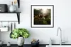 MuchoWow® Gerahmtes Poster Wald - Elefanten - Licht 40x40 Produktbild-Vorschau 4