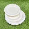 RyanPack Zuckerrohr Bagasse Teller 18 cm Weiß – Einweg Produktbild-Vorschau 4