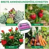 2er Zimmergewächshaus Anzuchtkasten, Mit Anzuchtlampen, Produktbild-Vorschau 5