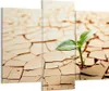 Bild auf Leinwand - Leinwandbild - Wüste Erde Umwelt - Produktbild-Vorschau 1