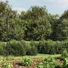 vidaXL Řetězový plot antracitový 1,6x10 m z pozinkované Náhled obrázku produktu 2