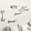 PawHut 4tlg. Kletterwand für Katzen Katzenkletterwand mit Produktbild-Vorschau 2