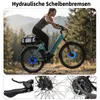 TTGO E-Bike 28x2,4 Zoll, 110km, 70 Nm Hinterradmotor, C5, Produktbild-Vorschau 8