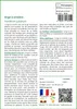 SAFLAX  - Orge à crinière - 70 graines - Hordeum Voir les images du produit 3