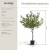 Umělý olivovník Oleand, realistická textura - 120 cm Náhled obrázku produktu 11