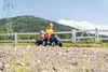 Falk 3080AB, 2 rok / roky, 4 koleso/kolesá, Plast, Oceľ, Náhľad obrázku produktu 34