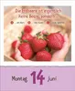 Kinderwissen Kalender 2027 für Kinder mit Geschichten, Produktbild-Vorschau 16