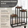 TTL HOME Blumenständer SCALA 3 Ebenen Metall schwarz 68cm Produktbild-Vorschau 2
