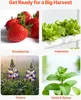 VEVOR Hydroponický systém pro pěstování rostlin, 3 úrovně, Náhled obrázku produktu 6