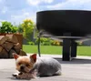 A small dog is lying on a wooden deck in front of a large fire pit. There is a stack of firewood to the left of the fire pit, and a grassy yard with trees in the background. Produktbild-Vorschau
