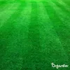 Kalkdünger mit Magnesium (5 kg - Für 100 m2)- Organifer Produktbild-Vorschau 8