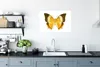 MuchoWow® Poster Schmetterlinge - Gelb - Braun 60x40 cm - Produktbild-Vorschau 3