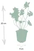 Půdopokryvné rostliny – geranium – Geranium 'Rozanne' – 9cm Náhled obrázku produktu 3