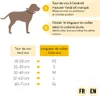 collare per cani lionto riflettente, imbottito e regolabile Anteprima dell’immagine prodotto 5