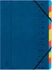 Organizer EXACOMPTA, DIN A4, cartone, 12 cartelle, blu Anteprima dell’immagine prodotto 1