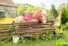 Zapf 835203 BABY born My Cute Horse Podgląd zdjęcia produktu 9