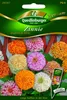 Zinnien Pepermint Sticks | Zinniensamen von Quedlinburger Produktbild-Vorschau 1