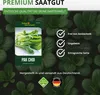 Pak Choi Chinesischer Senfkohl Samen - Brassica rapa - Produktbild-Vorschau 8