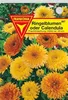 Ringelblume Prachtmischung Produktbild-Vorschau 1