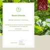 Ras el Hanout 500g Produktbild-Vorschau 9