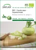 SAFLAX  -- Cavolo rapa - Superschmelz - 20 semi - Brassica Anteprima dell’immagine prodotto 1